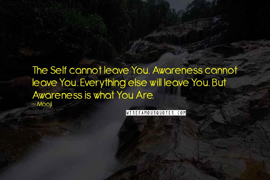 Mooji quotes: The Self cannot leave You. Awareness cannot leave You. Everything else will leave You. But Awareness is what You Are.