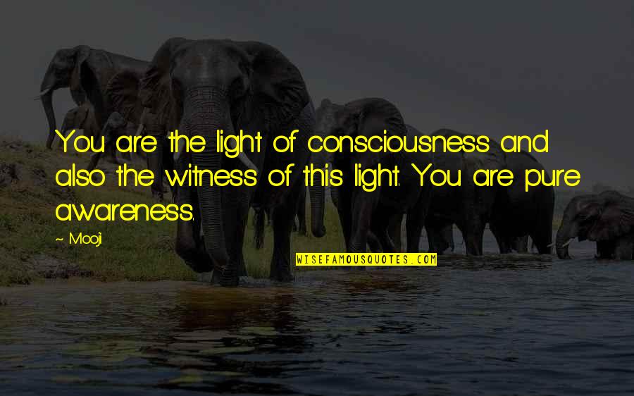 Mooji Quotes By Mooji: You are the light of consciousness and also