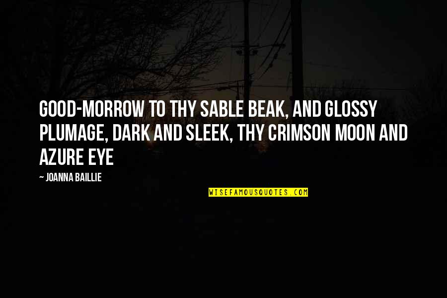 Moon And Dark Quotes By Joanna Baillie: Good-morrow to thy sable beak, And glossy plumage,