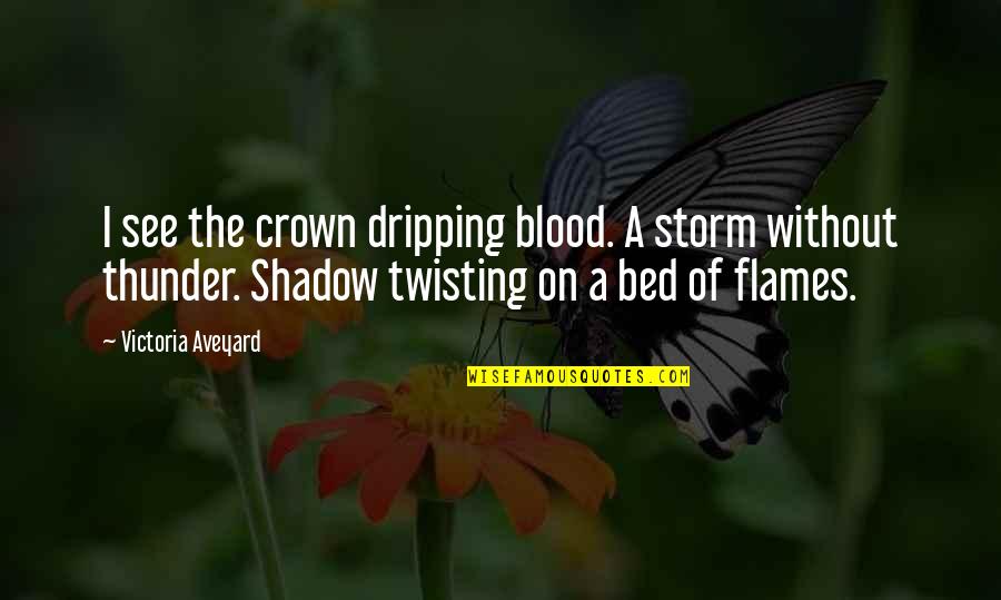 Moon And Girl Quotes By Victoria Aveyard: I see the crown dripping blood. A storm