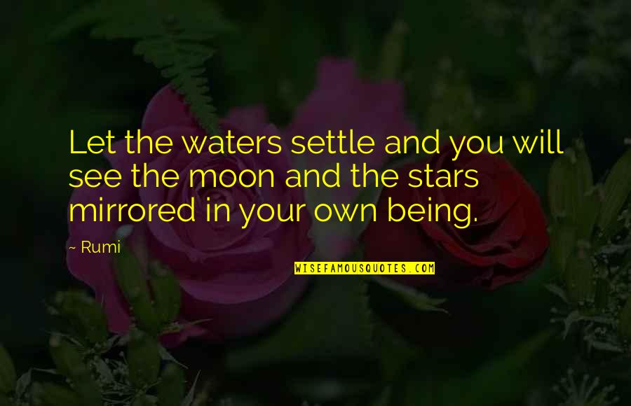 Moon And You Quotes By Rumi: Let the waters settle and you will see