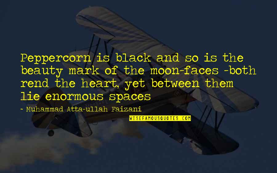 Moon Beauty Quotes By Muhammad Atta-ullah Faizani: Peppercorn is black and so is the beauty