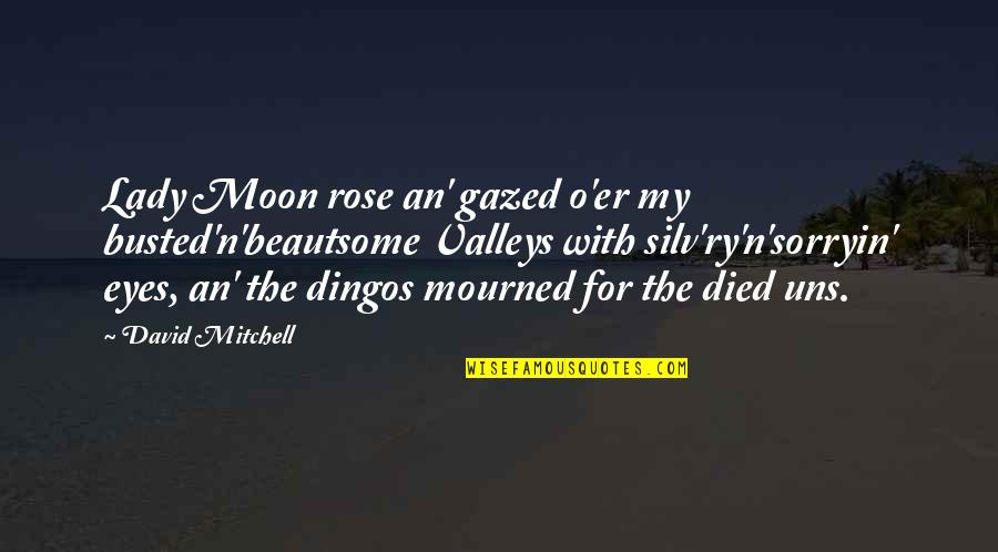 Moon For Quotes By David Mitchell: Lady Moon rose an' gazed o'er my busted'n'beautsome
