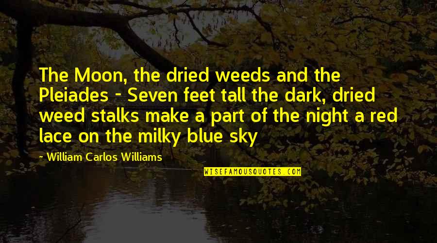 Moon In The Night Sky Quotes By William Carlos Williams: The Moon, the dried weeds and the Pleiades