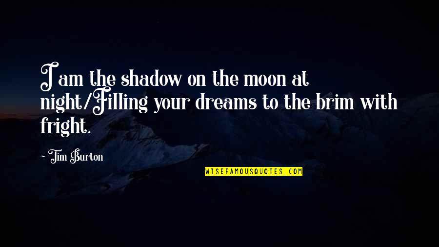 Moon Night Quotes By Tim Burton: I am the shadow on the moon at