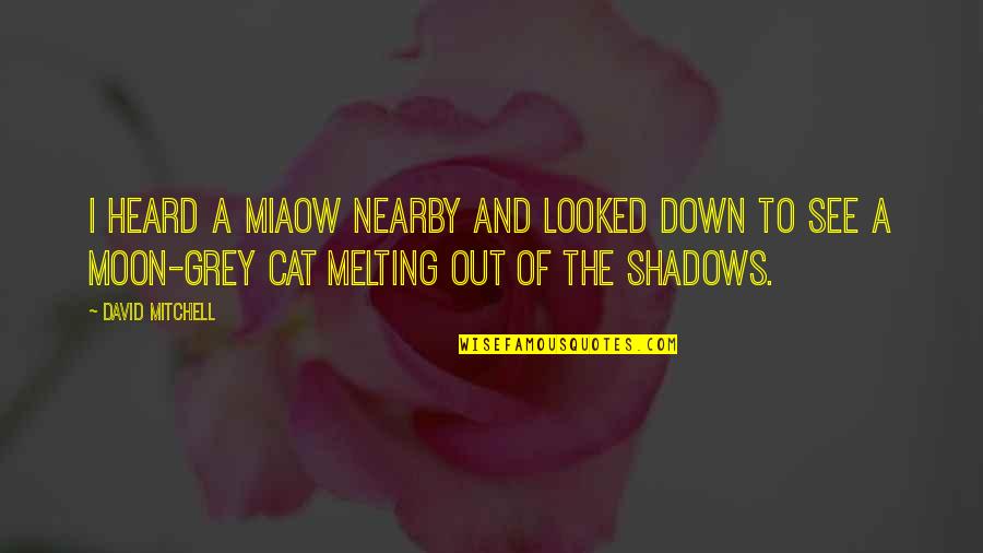 Moon Shadows Quotes By David Mitchell: I heard a miaow nearby and looked down