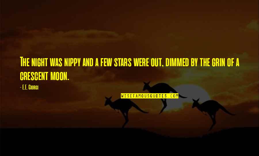 Moon Stars Night Quotes By E.E. Giorgi: The night was nippy and a few stars