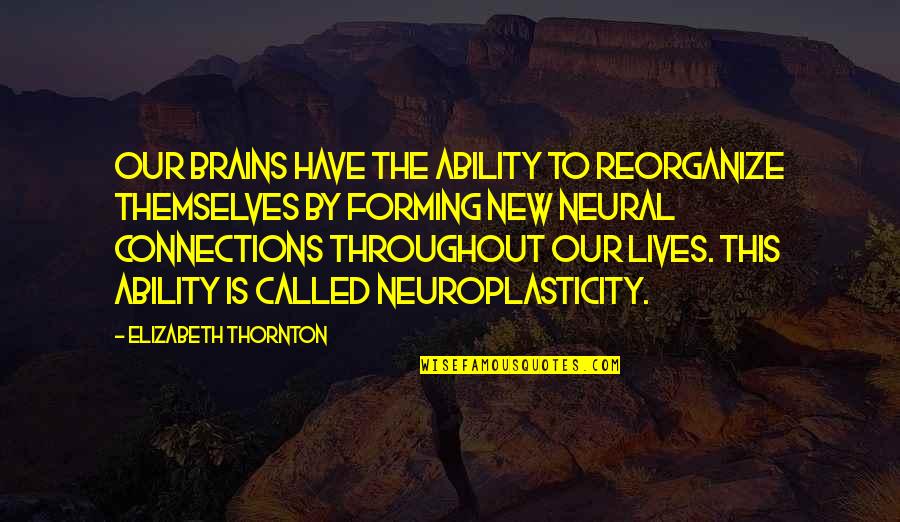 Moondoggie Quotes By Elizabeth Thornton: Our brains have the ability to reorganize themselves