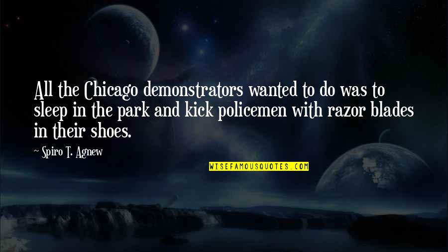 Moone Boy Funny Quotes By Spiro T. Agnew: All the Chicago demonstrators wanted to do was