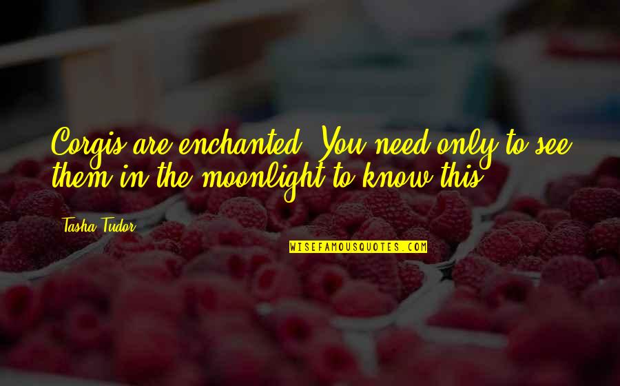 Moonlight Best Quotes By Tasha Tudor: Corgis are enchanted. You need only to see