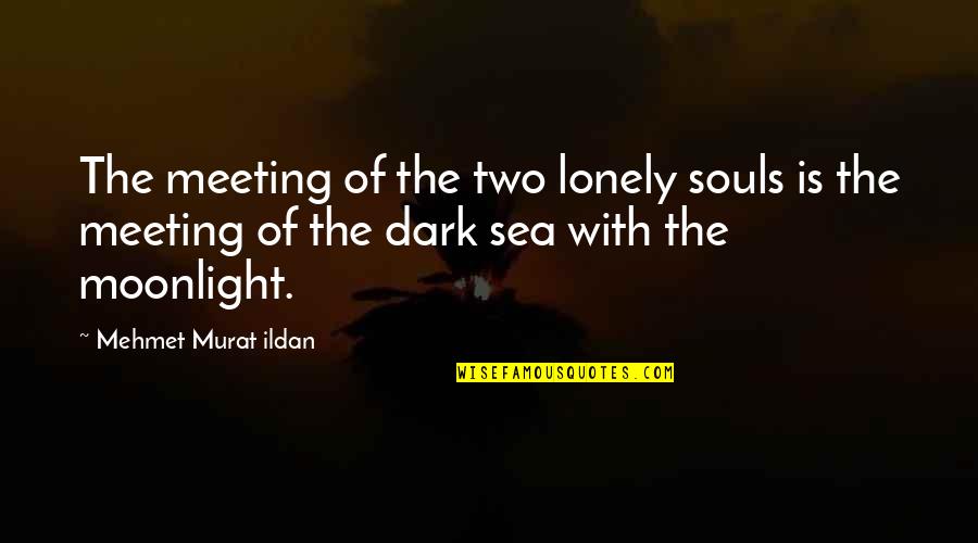 Moonlight's Quotes By Mehmet Murat Ildan: The meeting of the two lonely souls is