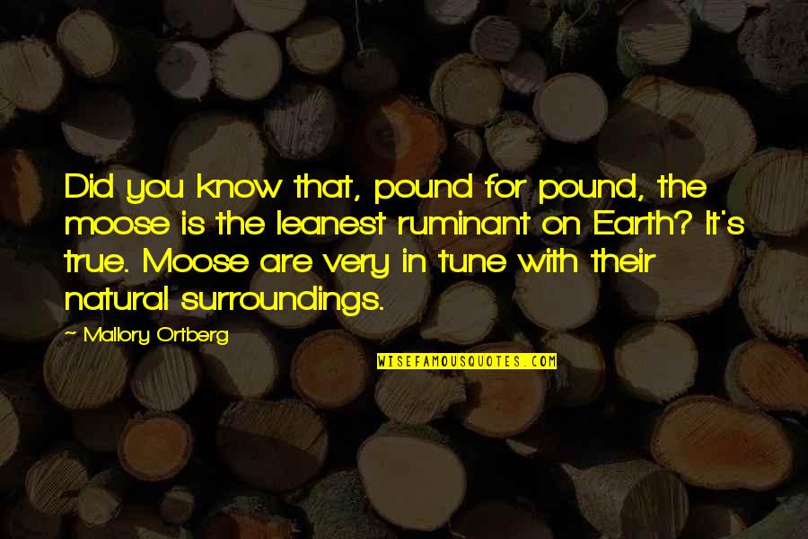 Moose's Quotes By Mallory Ortberg: Did you know that, pound for pound, the