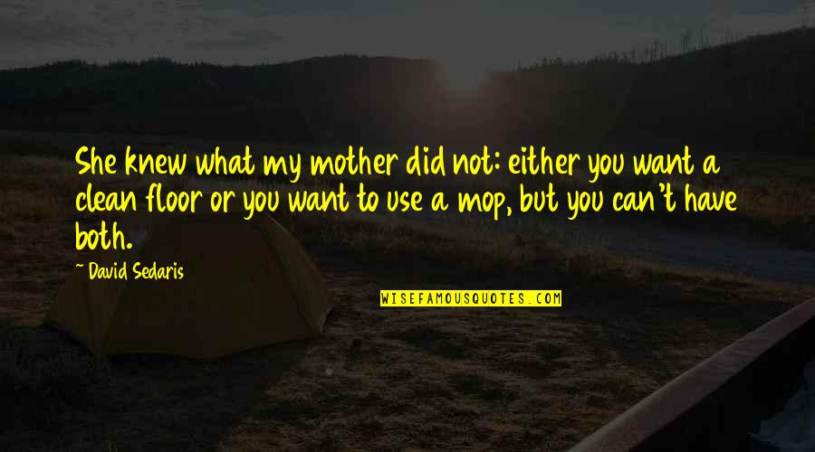 Mop Quotes By David Sedaris: She knew what my mother did not: either Mop Quotes By David Sedaris: She knew what my mother did not: either