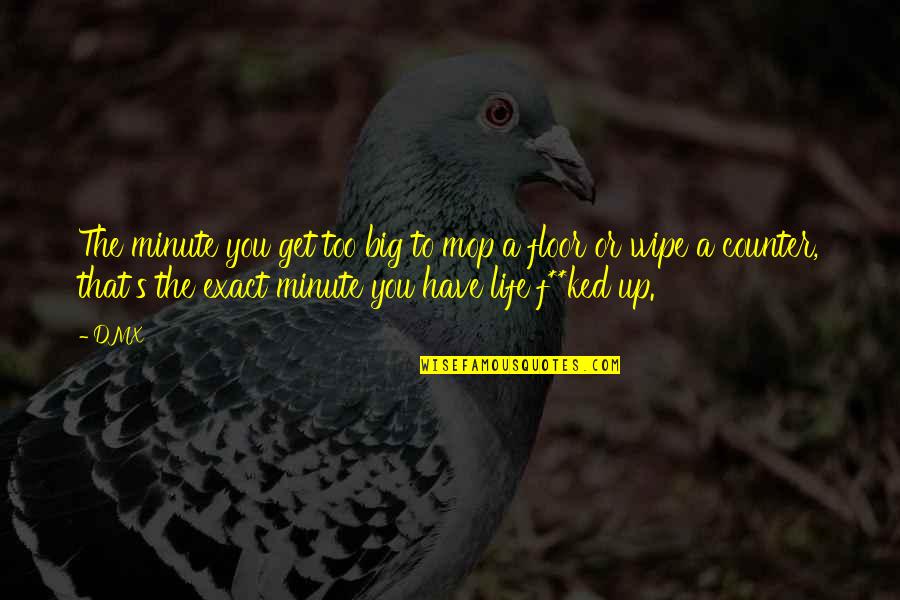 Mop Quotes By DMX: The minute you get too big to mop