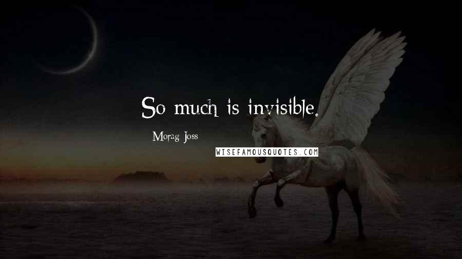 Morag Joss quotes: So much is invisible.