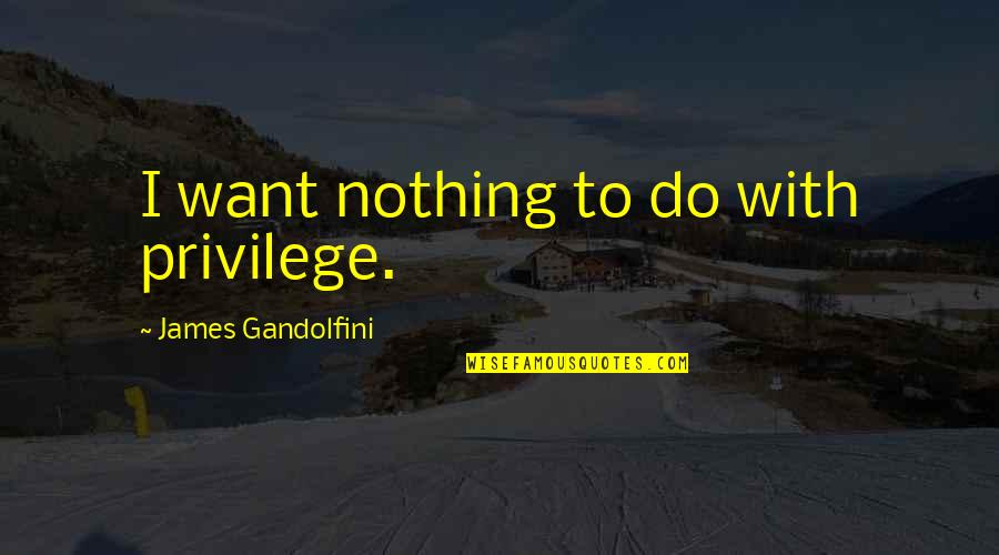 Moral Attitude Quotes By James Gandolfini: I want nothing to do with privilege.