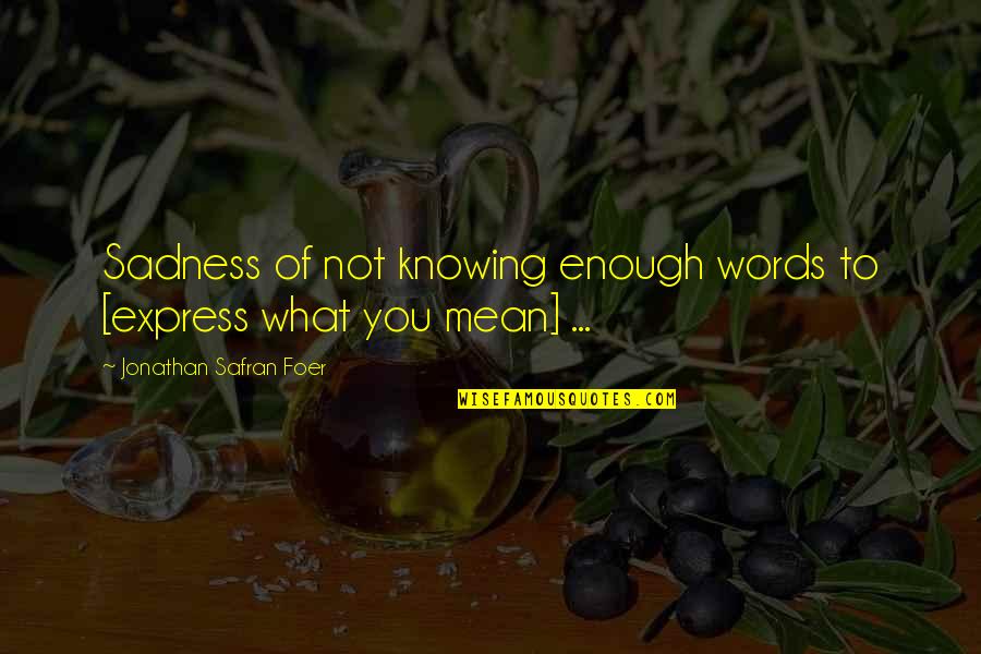 Moral Cautionary Quotes By Jonathan Safran Foer: Sadness of not knowing enough words to [express