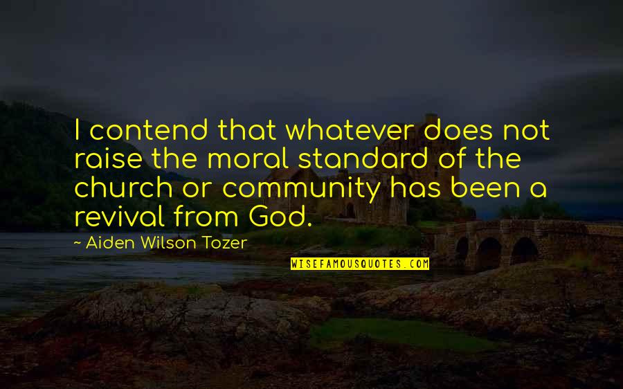 Moral Standard Quotes By Aiden Wilson Tozer: I contend that whatever does not raise the Moral Standard Quotes By Aiden Wilson Tozer: I contend that whatever does not raise the