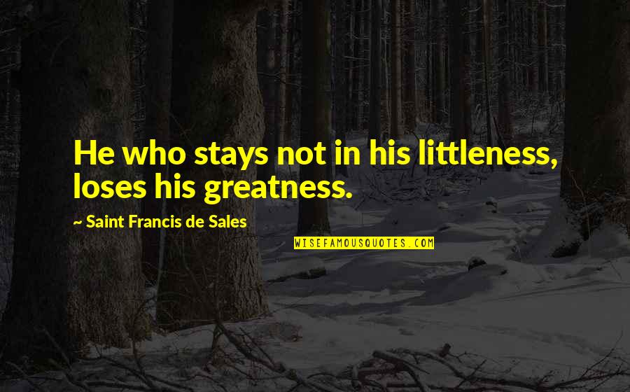 Moralidad Quotes By Saint Francis De Sales: He who stays not in his littleness, loses