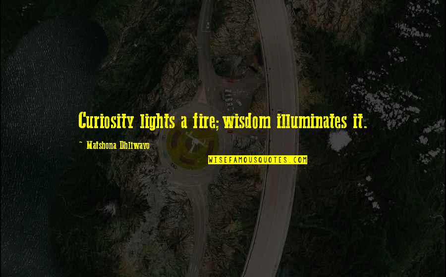 Morality In Hamlet Quotes By Matshona Dhliwayo: Curiosity lights a fire;wisdom illuminates it.