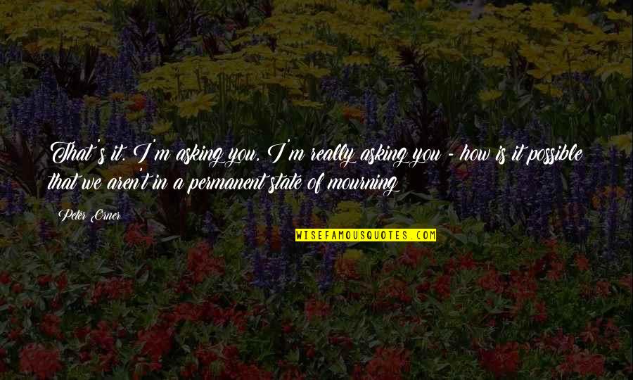 Moramarco Ct Quotes By Peter Orner: That's it. I'm asking you, I'm really asking