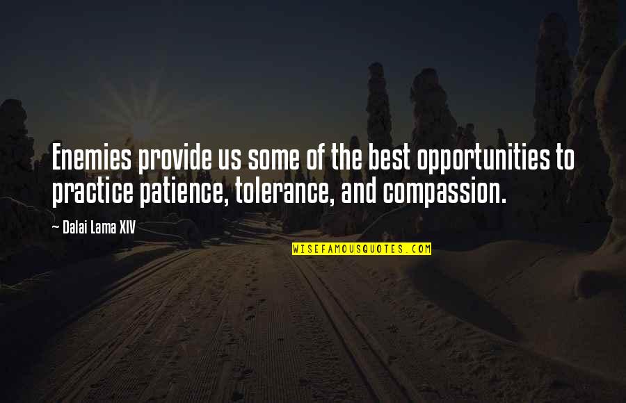 Morans I Quotes By Dalai Lama XIV: Enemies provide us some of the best opportunities Morans I Quotes By Dalai Lama XIV: Enemies provide us some of the best opportunities
