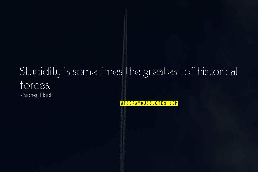 Moravian Cloth Quotes By Sidney Hook: Stupidity is sometimes the greatest of historical forces.