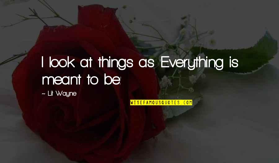 Morbid Romantic Quotes By Lil' Wayne: I look at things as 'Everything is meant