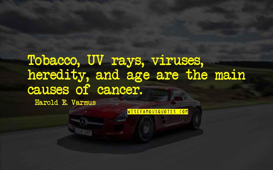 Mordantly Def Quotes By Harold E. Varmus: Tobacco, UV rays, viruses, heredity, and age are