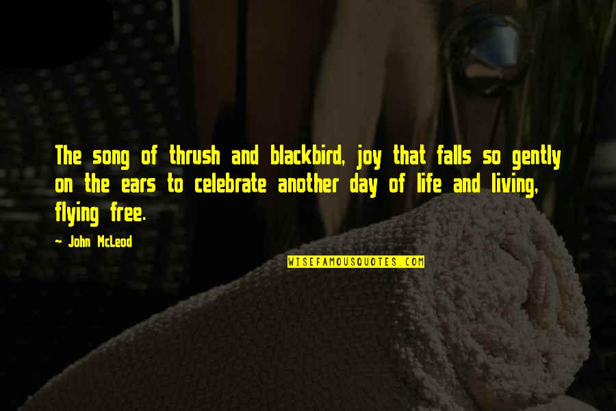 Mordet P Quotes By John McLeod: The song of thrush and blackbird, joy that Mordet P Quotes By John McLeod: The song of thrush and blackbird, joy that