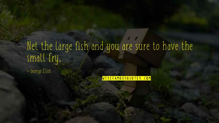 Mordor Quotes By George Eliot: Net the large fish and you are sure