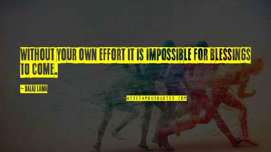 More Blessing To Come Quotes By Dalai Lama: Without your own effort it is impossible for