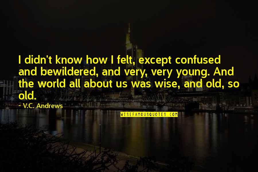 More Confused Than Quotes By V.C. Andrews: I didn't know how I felt, except confused