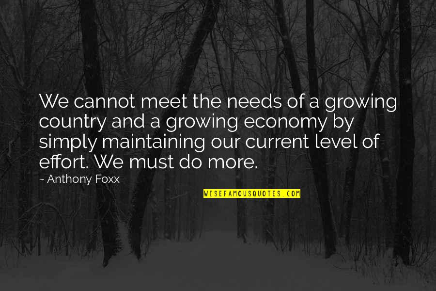 More Effort Quotes By Anthony Foxx: We cannot meet the needs of a growing More Effort Quotes By Anthony Foxx: We cannot meet the needs of a growing