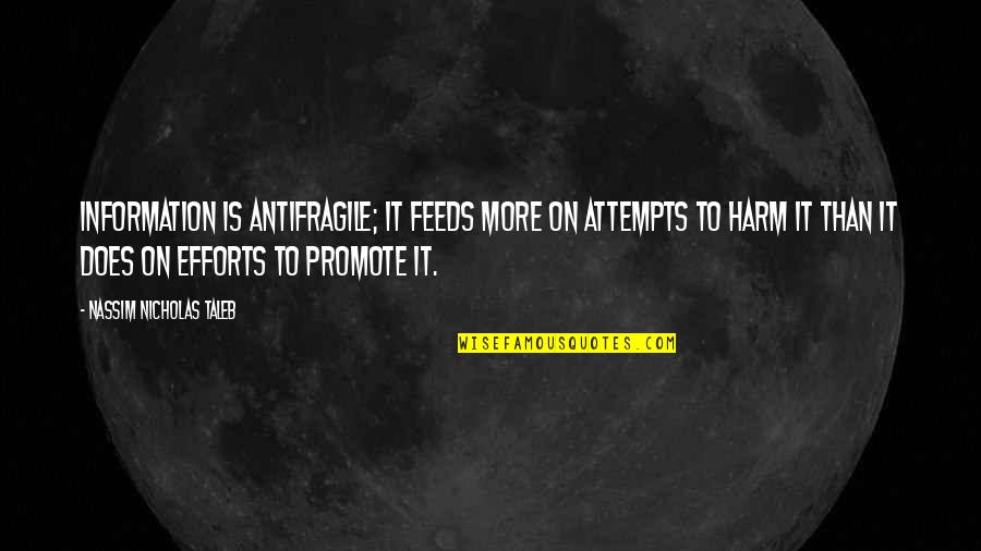 More Effort Quotes By Nassim Nicholas Taleb: Information is antifragile; it feeds more on attempts More Effort Quotes By Nassim Nicholas Taleb: Information is antifragile; it feeds more on attempts