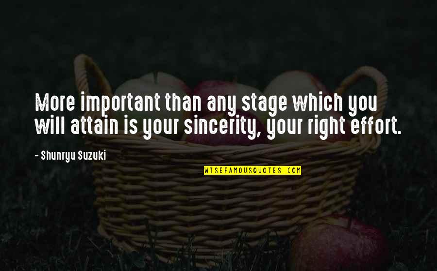 More Effort Quotes By Shunryu Suzuki: More important than any stage which you will More Effort Quotes By Shunryu Suzuki: More important than any stage which you will