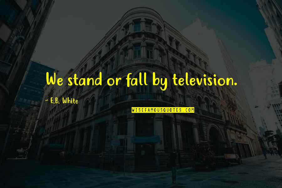 More Guns Less Crime Quotes By E.B. White: We stand or fall by television.