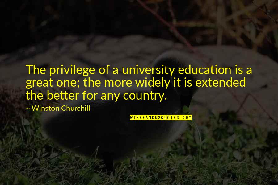 More Is Better Quotes By Winston Churchill: The privilege of a university education is a