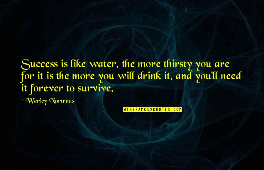 More Is More Quotes By Werley Nortreus: Success is like water, the more thirsty you More Is More Quotes By Werley Nortreus: Success is like water, the more thirsty you