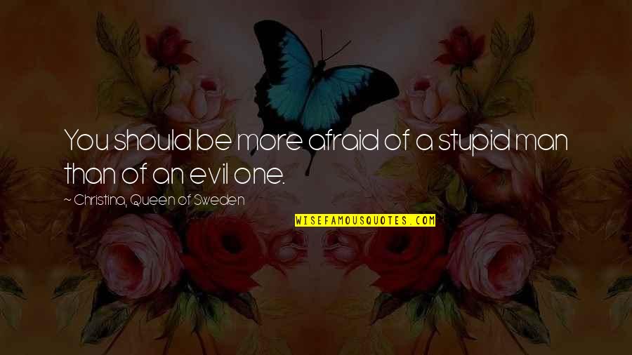 More Of You Quotes By Christina, Queen Of Sweden: You should be more afraid of a stupid