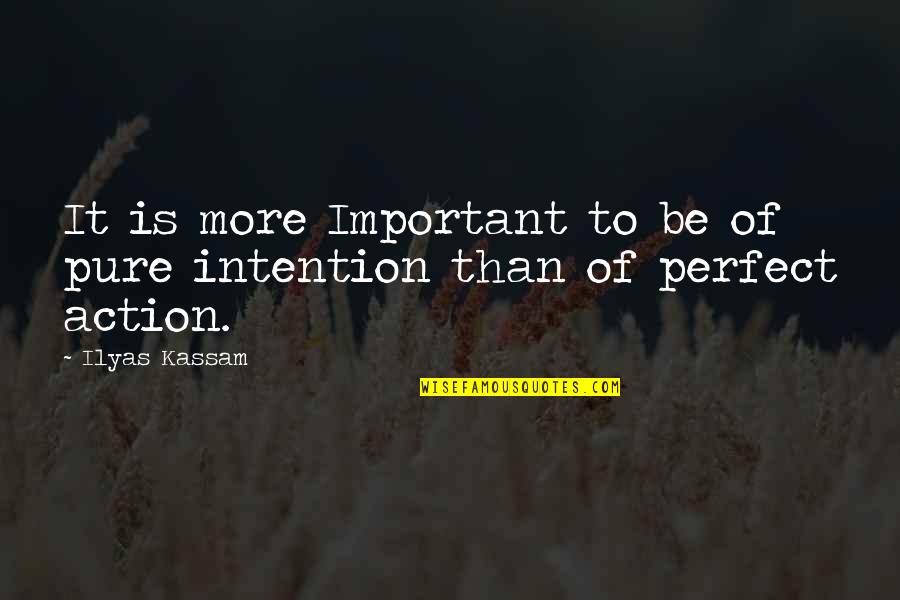 More Perfect Quotes By Ilyas Kassam: It is more Important to be of pure