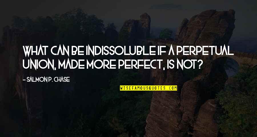 More Perfect Quotes By Salmon P. Chase: What can be indissoluble if a perpetual Union,