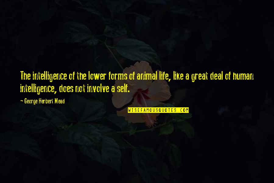 More Porridge Please Quotes By George Herbert Mead: The intelligence of the lower forms of animal