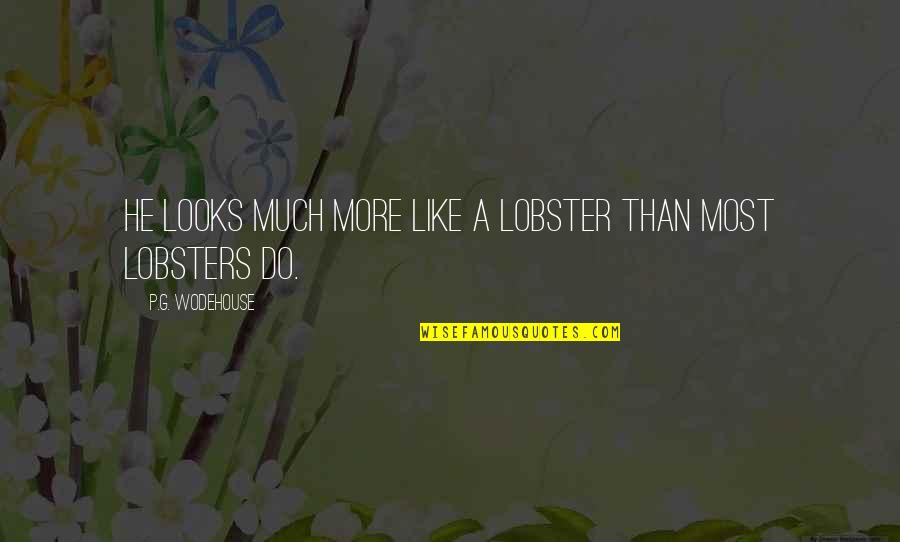 More Than Looks Quotes By P.G. Wodehouse: He looks much more like a lobster than