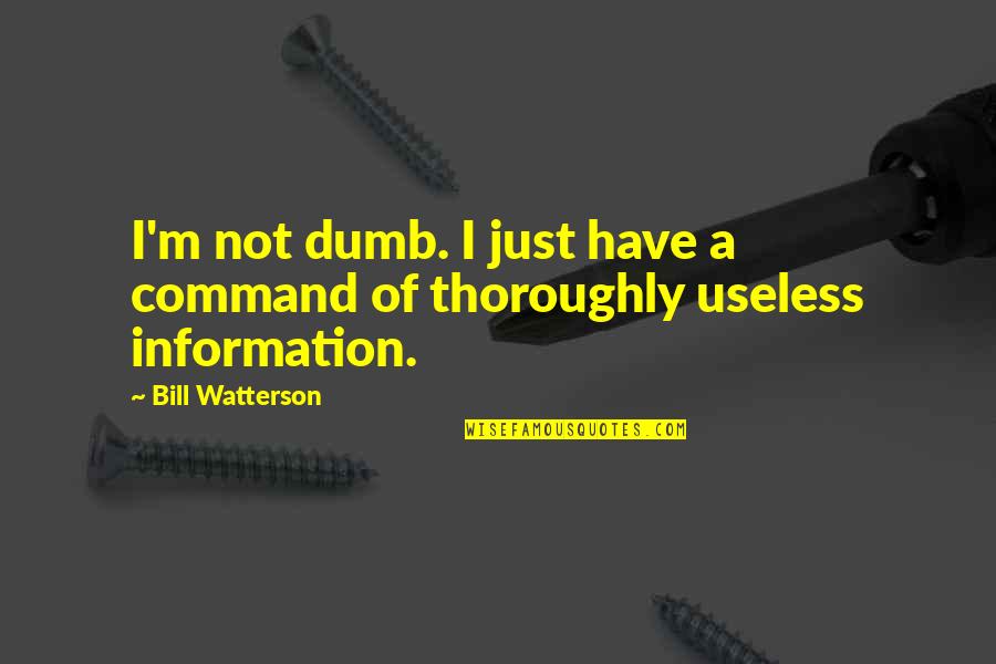 More Useless Than Quotes By Bill Watterson: I'm not dumb. I just have a command