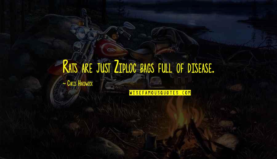 Morestrongly Quotes By Chris Hardwick: Rats are just Ziploc bags full of disease. Morestrongly Quotes By Chris Hardwick: Rats are just Ziploc bags full of disease.