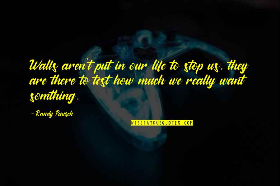 Moreviolent Quotes By Randy Pausch: Walls aren't put in our life to stop Moreviolent Quotes By Randy Pausch: Walls aren't put in our life to stop