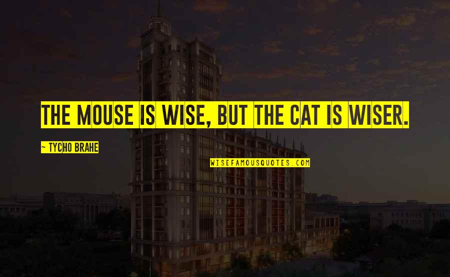 Morgan Dome Minnesota Quotes By Tycho Brahe: The mouse is wise, but the cat is Morgan Dome Minnesota Quotes By Tycho Brahe: The mouse is wise, but the cat is