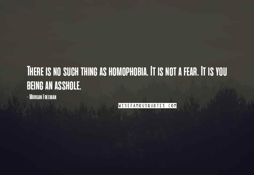 Morgan Freeman quotes: There is no such thing as homophobia. It is not a fear. It is you being an asshole.