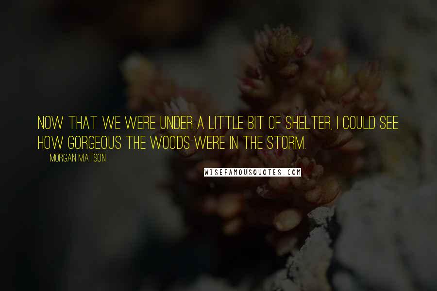 Morgan Matson quotes: Now that we were under a little bit of shelter, I could see how gorgeous the woods were in the storm.